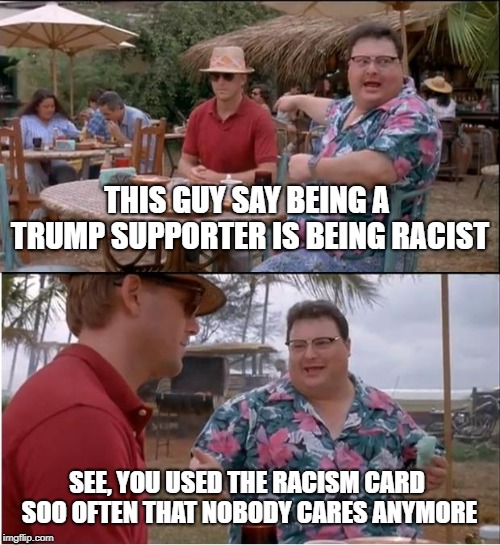 See Nobody Cares Meme | THIS GUY SAY BEING A TRUMP SUPPORTER IS BEING RACIST SEE, YOU USED THE RACISM CARD SOO OFTEN THAT NOBODY CARES ANYMORE | image tagged in memes,see nobody cares | made w/ Imgflip meme maker
