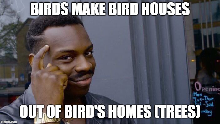Roll Safe Think About It | BIRDS MAKE BIRD HOUSES; OUT OF BIRD'S HOMES (TREES) | image tagged in memes,roll safe think about it | made w/ Imgflip meme maker