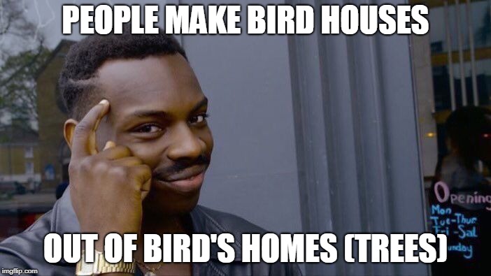 Roll Safe Think About It Meme | PEOPLE MAKE BIRD HOUSES; OUT OF BIRD'S HOMES (TREES) | image tagged in memes,roll safe think about it | made w/ Imgflip meme maker