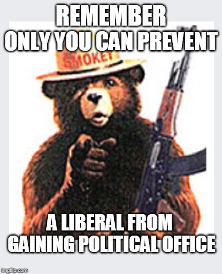 Vote! | REMEMBER; ONLY YOU CAN PREVENT; A LIBERAL FROM GAINING POLITICAL OFFICE | image tagged in american politics,politics,smokey bear | made w/ Imgflip meme maker