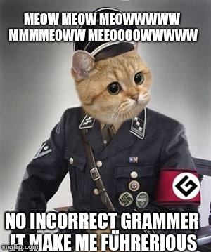 Grammar Nazi Cat | MEOW MEOW MEOWWWWW MMMMEOWW MEEOOOOWWWWW; NO INCORRECT GRAMMER IT MAKE ME FUHRERIOUS; .. | image tagged in grammar nazi cat | made w/ Imgflip meme maker