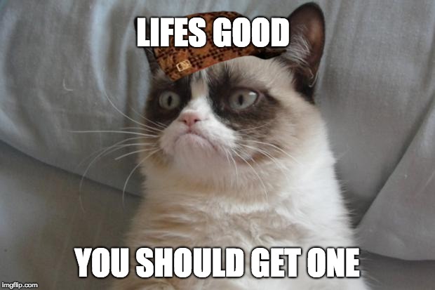 lifes good | LIFES GOOD; YOU SHOULD GET ONE | image tagged in grumpy cat | made w/ Imgflip meme maker