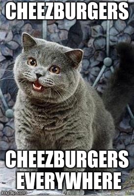 I can has cheezburger cat | CHEEZBURGERS; CHEEZBURGERS EVERYWHERE | image tagged in i can has cheezburger cat | made w/ Imgflip meme maker