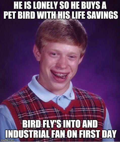 Bad Luck Brian Meme | HE IS LONELY SO HE BUYS A PET BIRD WITH HIS LIFE SAVINGS; BIRD FLY'S INTO AND INDUSTRIAL FAN ON FIRST DAY | image tagged in memes,bad luck brian | made w/ Imgflip meme maker