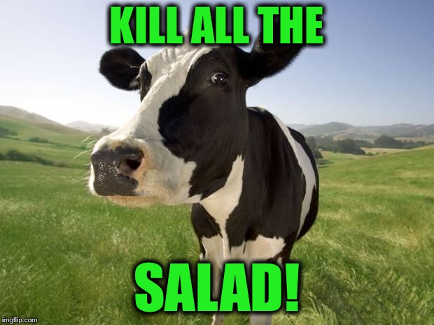 cow | KILL ALL THE SALAD! | image tagged in cow | made w/ Imgflip meme maker