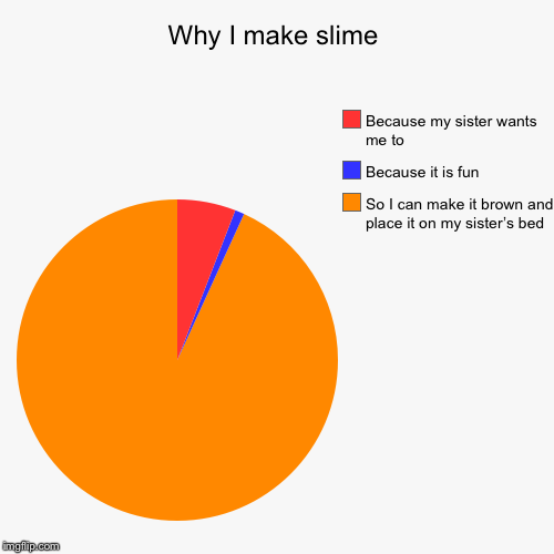 Why I make slime | So I can make it brown and place it on my sister’s bed, Because it is fun, Because my sister wants me to | image tagged in funny,pie charts | made w/ Imgflip chart maker