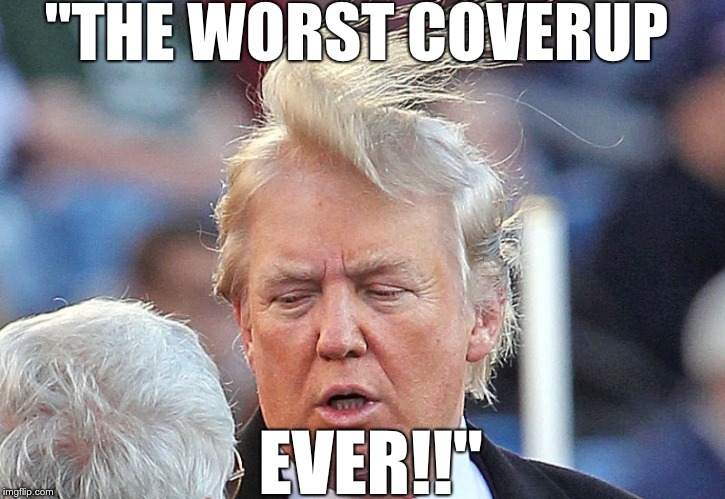 Trumps Hair: It's alive, it's alive! | "THE WORST COVERUP; EVER!!" | image tagged in trumps hair: it's alive it's alive! | made w/ Imgflip meme maker