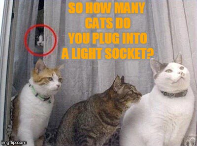 SO HOW MANY CATS DO YOU PLUG INTO A LIGHT SOCKET? | made w/ Imgflip meme maker