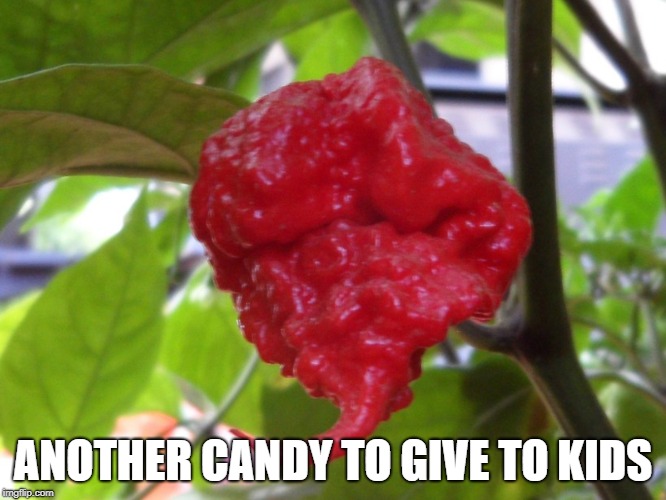 Give kids Carolina Reapers to teach them not to go near your 