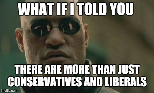 Matrix Morpheus Meme | WHAT IF I TOLD YOU THERE ARE MORE THAN JUST CONSERVATIVES AND LIBERALS | image tagged in memes,matrix morpheus | made w/ Imgflip meme maker