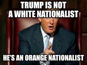 Donald Trump | TRUMP IS NOT A WHITE NATIONALIST; HE’S AN ORANGE NATIONALIST | image tagged in donald trump | made w/ Imgflip meme maker