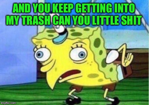 Mocking Spongebob Meme | AND YOU KEEP GETTING INTO MY TRASH CAN YOU LITTLE SHIT | image tagged in memes,mocking spongebob | made w/ Imgflip meme maker