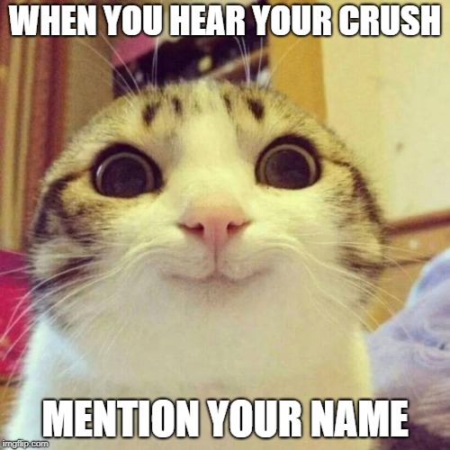 Smiling Cat Meme | WHEN YOU HEAR YOUR CRUSH; MENTION YOUR NAME | image tagged in memes,smiling cat | made w/ Imgflip meme maker