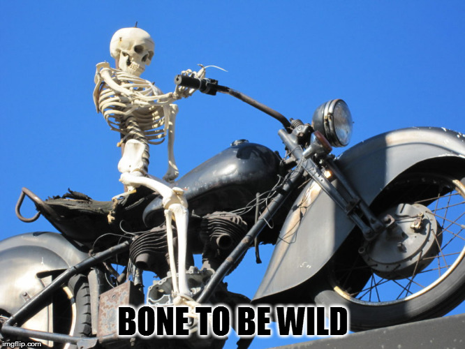 Getcher motor runnin' | BONE TO BE WILD | image tagged in memes,puns | made w/ Imgflip meme maker