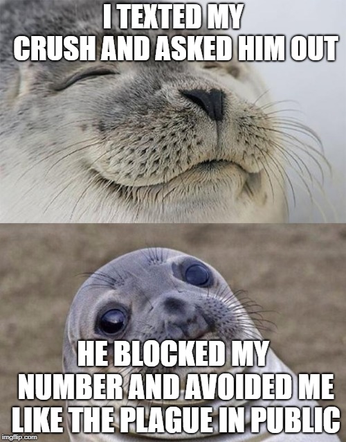 Short Satisfaction VS Truth | I TEXTED MY CRUSH AND ASKED HIM OUT; HE BLOCKED MY NUMBER AND AVOIDED ME LIKE THE PLAGUE IN PUBLIC | image tagged in memes,short satisfaction vs truth | made w/ Imgflip meme maker