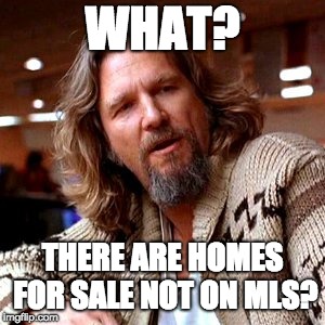 Confused Lebowski Meme | WHAT? THERE ARE HOMES FOR SALE NOT ON MLS? | image tagged in memes,confused lebowski | made w/ Imgflip meme maker