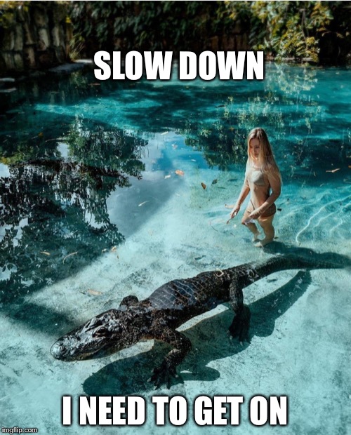 Gator girl | SLOW DOWN; I NEED TO GET ON | image tagged in alligator,pretty girl,memes | made w/ Imgflip meme maker