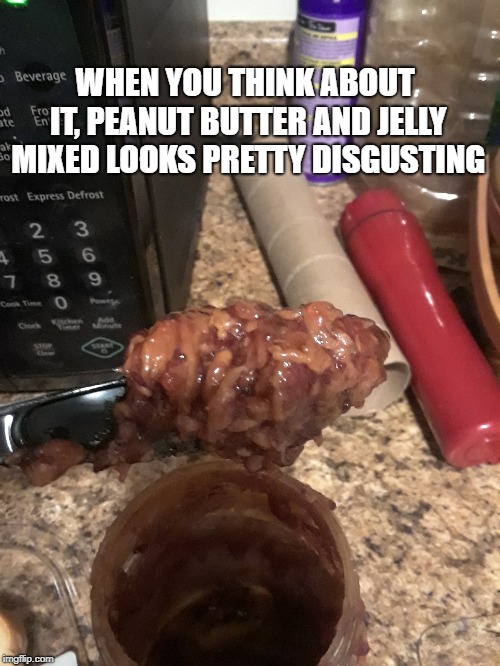 PBJ | WHEN YOU THINK ABOUT IT, PEANUT BUTTER AND JELLY MIXED LOOKS PRETTY DISGUSTING | image tagged in food,funny food,meme,funny meme | made w/ Imgflip meme maker