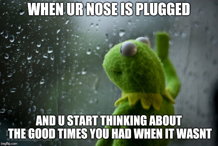 Kermit the frog rainy day | WHEN UR NOSE IS PLUGGED; AND U START THINKING ABOUT THE GOOD TIMES YOU HAD WHEN IT WASNT | image tagged in kermit the frog rainy day | made w/ Imgflip meme maker