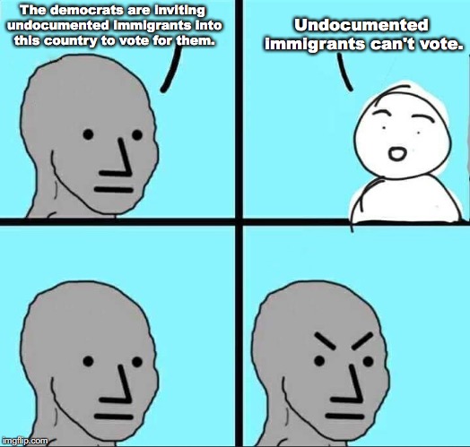 NPC Meme | Undocumented immigrants can't vote. The democrats are inviting undocumented immigrants into this country to vote for them. | image tagged in npc meme,immigration,caravan,donald trump,democrats | made w/ Imgflip meme maker