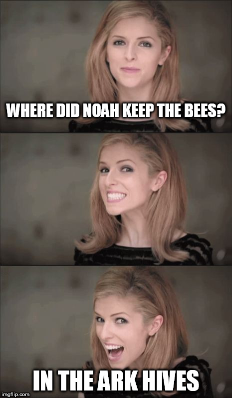 Bad Pun Anna Kendrick Meme | WHERE DID NOAH KEEP THE BEES? IN THE ARK HIVES | image tagged in memes,bad pun anna kendrick | made w/ Imgflip meme maker