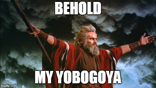 Behold | BEHOLD; MY YOBOGOYA | image tagged in behold | made w/ Imgflip meme maker