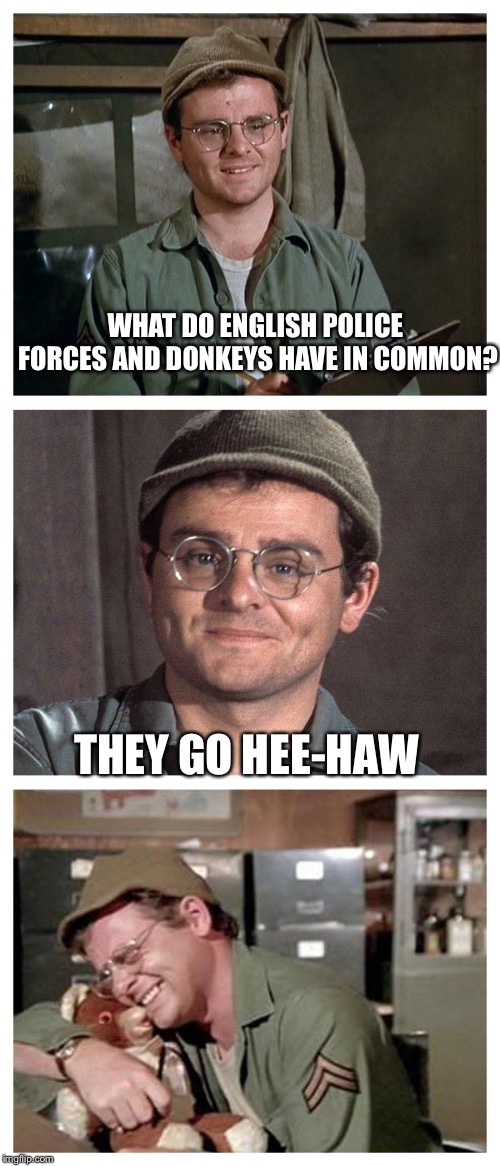 Hopefully the EU doesn’t steal this meme | WHAT DO ENGLISH POLICE FORCES AND DONKEYS HAVE IN COMMON? THEY GO HEE-HAW | image tagged in bad pun radar,police,donkey,memes,great britain | made w/ Imgflip meme maker