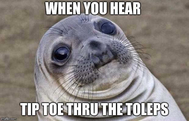 Awkward Moment Sealion | WHEN YOU HEAR; TIP TOE THRU THE TOLEPS | image tagged in memes,awkward moment sealion | made w/ Imgflip meme maker