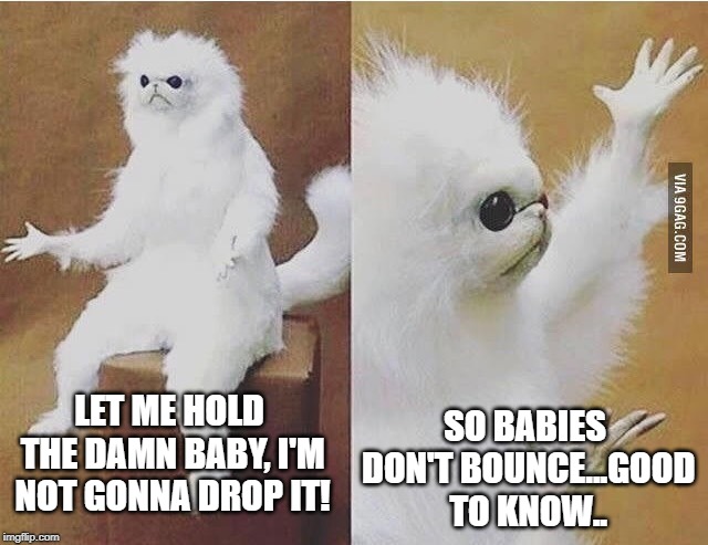 ANOTHER DAY, ANOTHER LIFE LESSON |  SO BABIES DON'T BOUNCE...GOOD TO KNOW.. LET ME HOLD THE DAMN BABY, I'M NOT GONNA DROP IT! | image tagged in confused white monkey,clumsy,picture,bad boy,fat baby | made w/ Imgflip meme maker