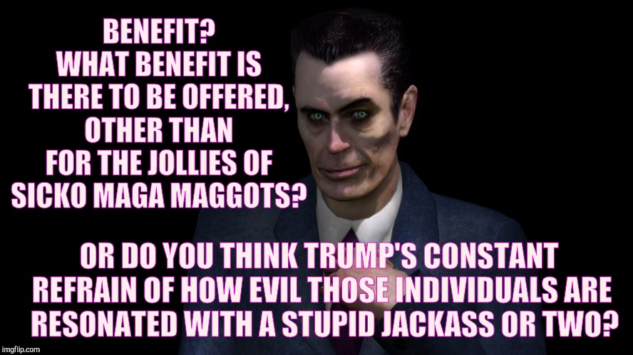 . | BENEFIT? WHAT BENEFIT IS THERE TO BE OFFERED, OTHER THAN FOR THE JOLLIES OF SICKO MAGA MAGGOTS? OR DO YOU THINK TRUMP'S CONSTANT REFRAIN OF  | image tagged in half-life's g-man from the creepy gallery of vagabondsoufflé  | made w/ Imgflip meme maker