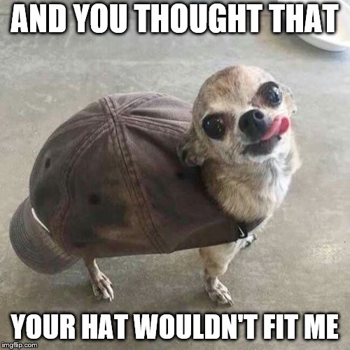 AND YOU THOUGHT THAT YOUR HAT WOULDN'T FIT ME | made w/ Imgflip meme maker