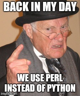 Back In My Day | BACK IN MY DAY; WE USE PERL INSTEAD OF PYTHON | image tagged in memes,back in my day | made w/ Imgflip meme maker