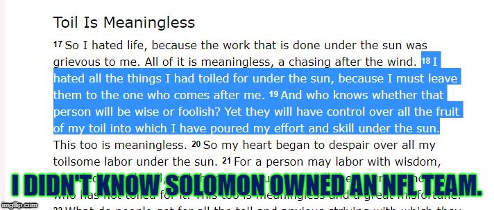 Thank You Paul Allen! | I DIDN'T KNOW SOLOMON OWNED AN NFL TEAM. | image tagged in ecclesiastes 2 | made w/ Imgflip meme maker