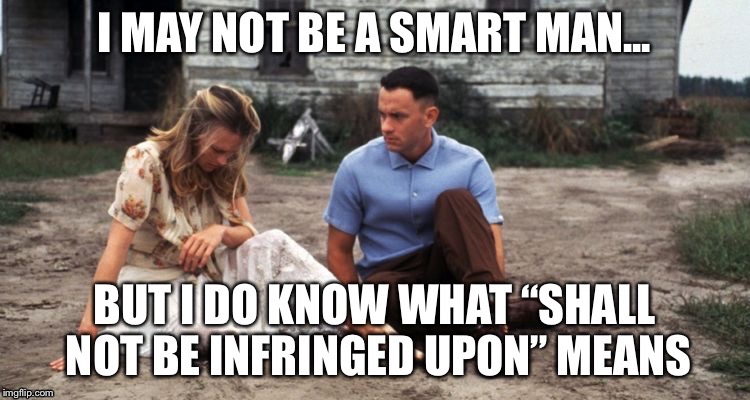 This guy gets it | image tagged in forrest gump,jenny,love,2a,second amendment,guns | made w/ Imgflip meme maker