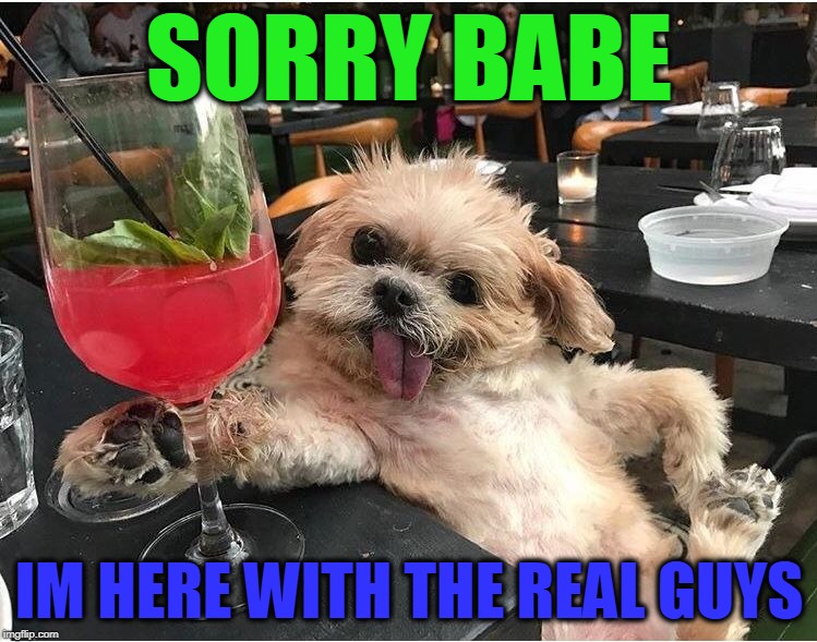 Busy Dog...
Not Really | SORRY BABE; IM HERE WITH THE REAL GUYS | image tagged in dog posing with a cocktail,cocktails,dogs,memes | made w/ Imgflip meme maker