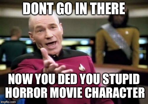 Picard Wtf | DONT GO IN THERE; NOW YOU DED YOU STUPID HORROR MOVIE CHARACTER | image tagged in memes,picard wtf | made w/ Imgflip meme maker