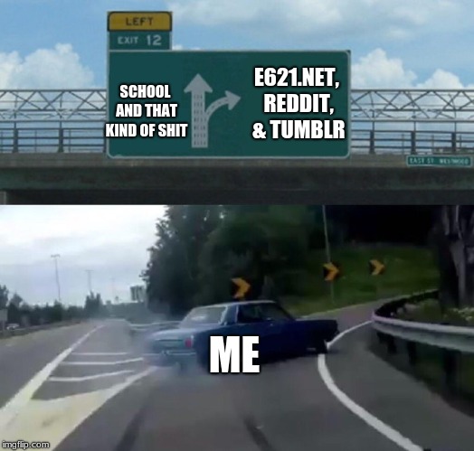 Left Exit 12 Off Ramp | E621.NET, REDDIT, & TUMBLR; SCHOOL AND THAT KIND OF SHIT; ME | image tagged in memes,left exit 12 off ramp | made w/ Imgflip meme maker