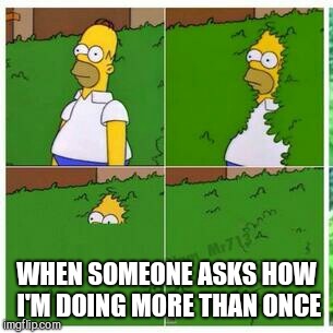 Homer hides | WHEN SOMEONE ASKS HOW I'M DOING MORE THAN ONCE | image tagged in homer hides | made w/ Imgflip meme maker