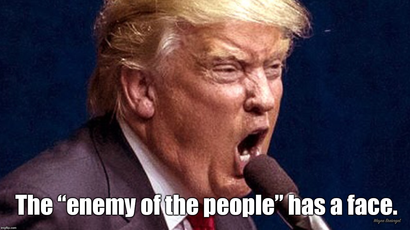The enemy of the people has a face | The “enemy of the people” has a face. Wayne Breivogel | image tagged in trump,enemy of the people,party of hate,american nationalist party | made w/ Imgflip meme maker