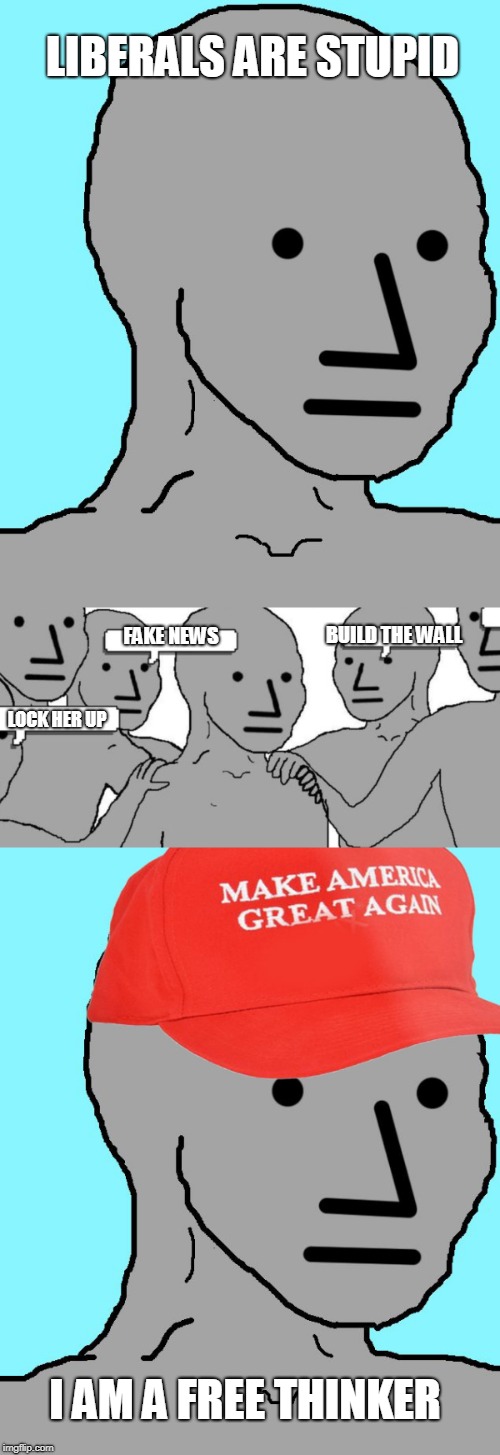 Libtards are dumb. | LIBERALS ARE STUPID; FAKE NEWS; BUILD THE WALL; LOCK HER UP; I AM A FREE THINKER | image tagged in libtards | made w/ Imgflip meme maker