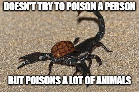 Scumbag Scorpion
 | DOESN'T TRY TO POISON A PERSON; BUT POISONS A LOT OF ANIMALS | image tagged in scorpions,scumbag | made w/ Imgflip meme maker