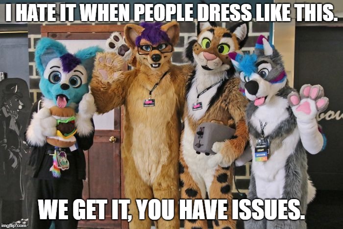 The furry fandom - don't even ask | I HATE IT WHEN PEOPLE DRESS LIKE THIS. WE GET IT, YOU HAVE ISSUES. | image tagged in memes,funny,furries,dank memes | made w/ Imgflip meme maker