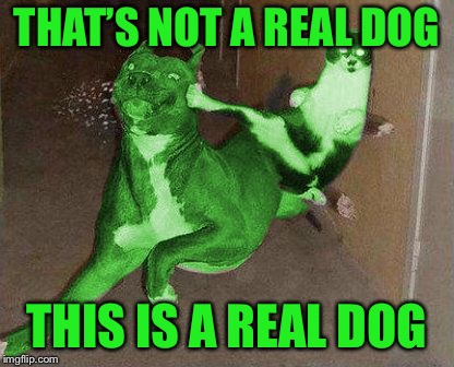 RayCat kicking RayDog | THAT’S NOT A REAL DOG THIS IS A REAL DOG | image tagged in raycat kicking raydog | made w/ Imgflip meme maker