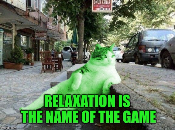 RayCat relaxing | RELAXATION IS THE NAME OF THE GAME | image tagged in raycat relaxing | made w/ Imgflip meme maker
