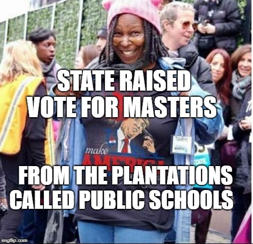 whoopi the view pedofiles child trafficking  hollywood child ped | STATE RAISED VOTE FOR MASTERS; FROM THE PLANTATIONS CALLED PUBLIC SCHOOLS | image tagged in whoopi the view pedofiles child trafficking  hollywood child ped | made w/ Imgflip meme maker