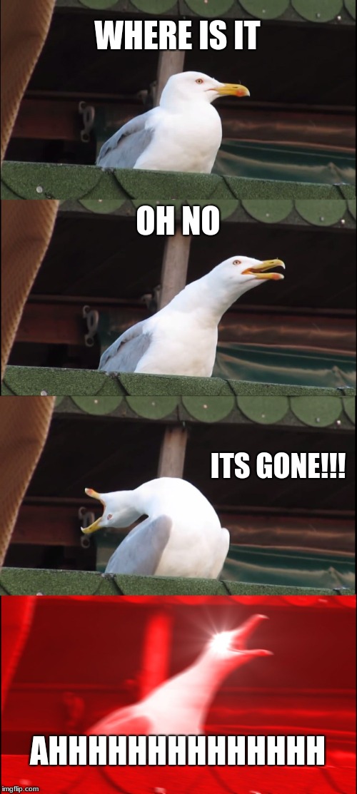 Inhaling Seagull | WHERE IS IT; OH NO; ITS GONE!!! AHHHHHHHHHHHHHH | image tagged in memes,inhaling seagull | made w/ Imgflip meme maker