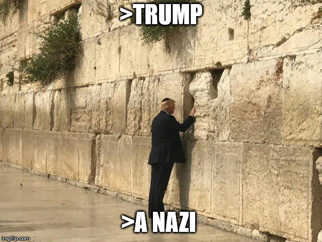 Donald Shill | >TRUMP; >A NAZI | image tagged in memes,donald shill,shill,puppet | made w/ Imgflip meme maker