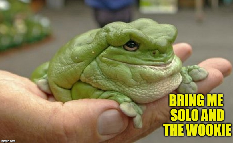 Jabba the Frogg | BRING ME SOLO AND THE WOOKIE | image tagged in vince vance,frogs,star wars,jabba the hutt,big fat frog,frog in hand | made w/ Imgflip meme maker