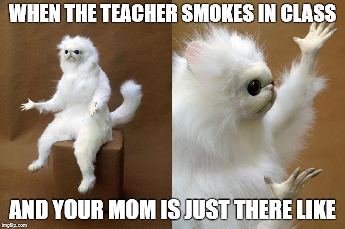 Persian Cat Room Guardian | WHEN THE TEACHER SMOKES IN CLASS; AND YOUR MOM IS JUST THERE LIKE | image tagged in memes,persian cat room guardian | made w/ Imgflip meme maker