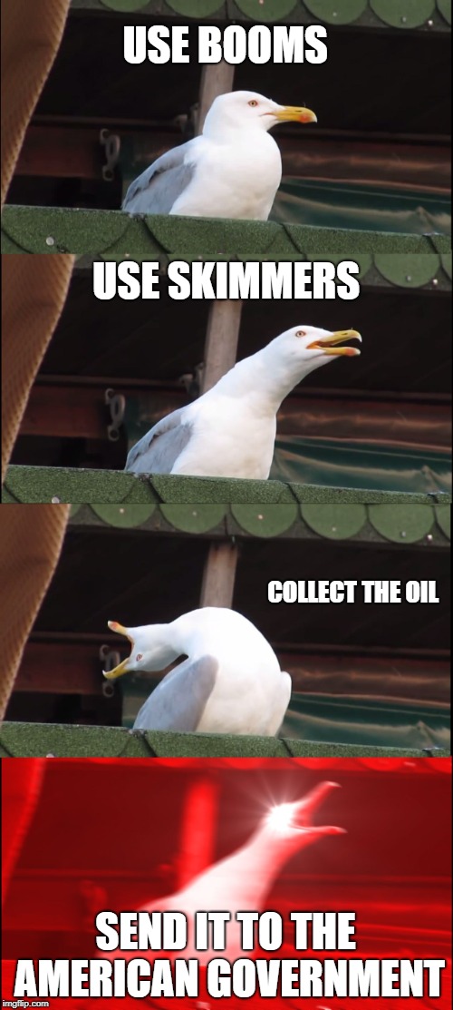 Inhaling Seagull Meme | USE BOOMS; USE SKIMMERS; COLLECT THE OIL; SEND IT TO THE AMERICAN GOVERNMENT | image tagged in memes,inhaling seagull | made w/ Imgflip meme maker